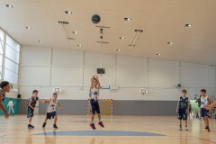 29
